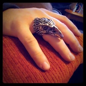 Stainless Steal Raven Ring